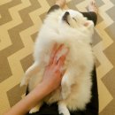 베테랑P&K 이미지