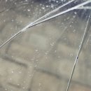 삼청동비 이미지