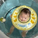돌 전 아기 장난감 국민템 추천 리스트 대박템 쪽박템 후기