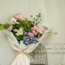 SHES CAFE Daum카페