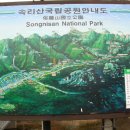 속리산사내리캠핑장 Daum카페