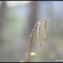 명암약수터 이미지