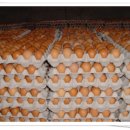 평대농장 이미지