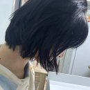 예인동물병원 | 유영 1분기_20260319