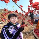 산음영농 이미지