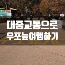 옵티마연합약국 | 우포늪 대중교통으로 여행하기 뚜벅이 국내 여행 팁까지 ft. 그 안내는 틀렸소