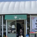 용원피그 | 아이랑 용인 가볼만한 곳｜헤븐온어스 딸기농장 체험 &amp; 동물먹이주기 후기