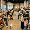 수제산업동물병원 | 반려동물 쇼핑몰 시장 분석 및 종류, 2026 완벽 가이드