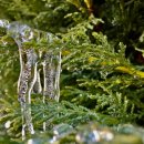 안지랑한의원 이미지