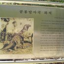 영천 영지사 범종각 이미지