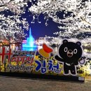 봉황교 | 김천 연화지 공원, 겨울에도 걷기 좋은 봉황대 산책 코스!