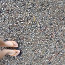 봉좌농장 이미지