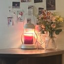 피스코이나즈카 이미지