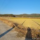 웅치면사무소 이미지