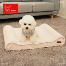 I.B 소프트 이미지