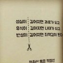탑분식 - 울주군 중평로 54 | 탑분식