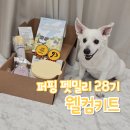 펫밀리 | 퍼핑 서포터즈 PUPPING 펫밀리 28기 웰컴박스 언박싱 후기(강아지식기 슬로우피더)