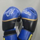 완주 JY 다이어트 복싱클럽 | 완주 JY다이어트 복싱 클럽