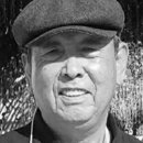오월숲 Daum카페