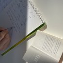 홍규농장 네이버블로그