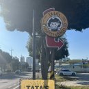 서초1동청사 앞마당 3 | 진주 초전동 베이글 맛집/ 애견동반이 가능한 대형 카페 타타스 베이글 진주점