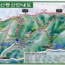 제 236차 정기산행 - 강원도 "태백산" 눈꽃산행안내 이미지