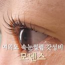 미모아이래쉬 | 여의도 속눈썹 모덴스, 가성비 영양 속눈썹펌 후기