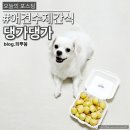 댕가댕가 이미지