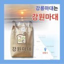 강원원주마대 이미지
