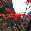 용소숲속민박 이미지