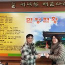 운학양어장 충청탑뉴스