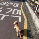 서천멕시칸 이미지