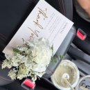 비스코 | [신혼집 인테리어] 시몬스 지젤 LK 라이트노체 솔직 후기(퀸즈밀러 비스코 베개)