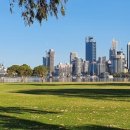 여행사우