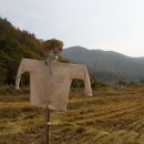 싸리골마을