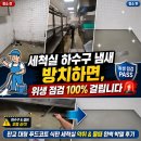 판교 상가 청소 후기 - 대형 푸드코트 식판 세척실 찌든 물때와 악취 완벽 타파! 위생 지킴이 그린크린