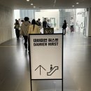 신성약국 | 얼리버드로 다녀온 국립현대미술관 데이미언 허스트 전시 상세 후기 꿀팁