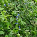 정선풍류펜션 이미지