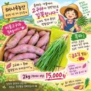 (금)발송.비품고구마3kg내외+흙쪽파2kg/택포15000원 [마감] 이미지