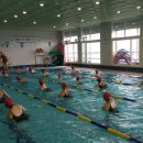 실내수영장 이미지