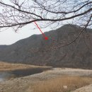 무주읍105 이미지