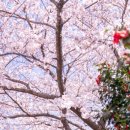 씨유 서귀호근점 이미지