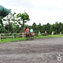 에코승마아카데미 이미지