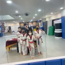 태권한류 이미지