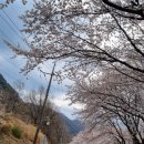 개화1리마을회관 이미지