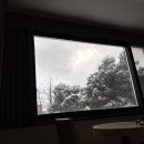 제주레슬리호텔 이미지