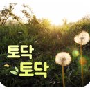 에이젯초등융합학원