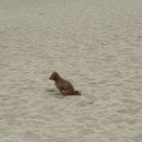 풀라운지 펜션&글램핑 이미지