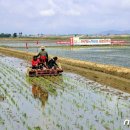 가중농장 이미지