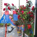 도신로15길 이미지